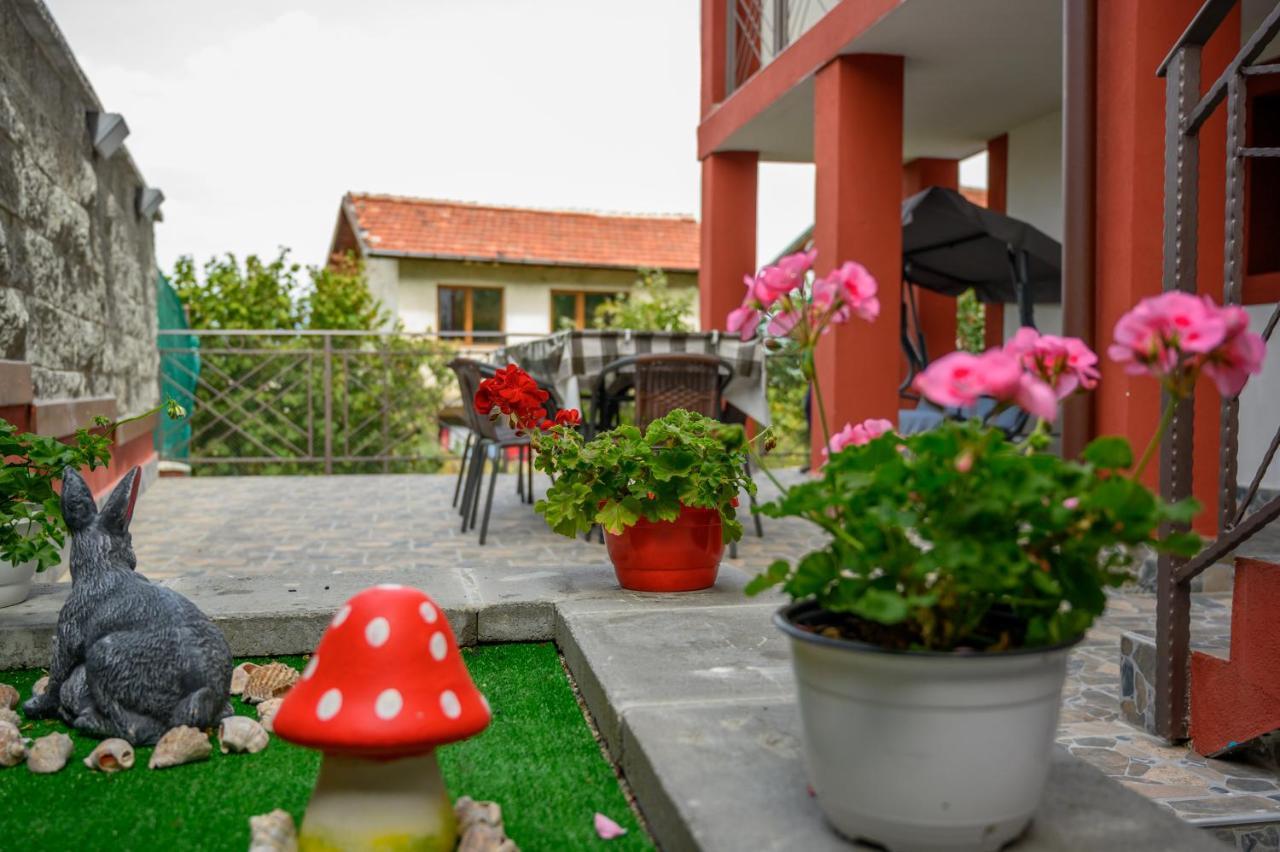 Къща За Гости „Жоро И Дани “ Villa Sapareva Banya Esterno foto